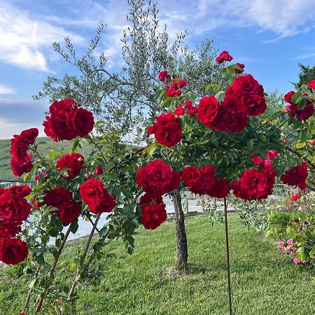 Masso alle Rose di Santarsiero Serena Montaione Esterno foto